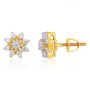 Fabiana Earrings
